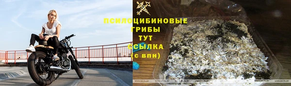 герыч Новодвинск